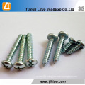 DIN7981 Galvanized Pan Head Self Tapping Screws